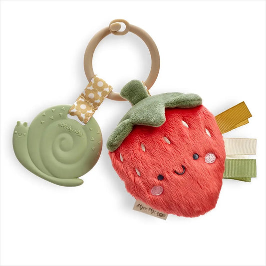 Itzy Pal strawberry Teether